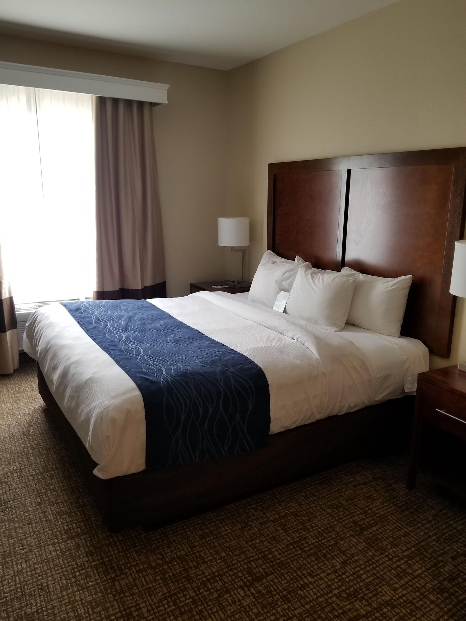 Sonesta Essential - Baton Rouge Airport Ξενοδοχείο Εξωτερικό φωτογραφία